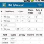 horse bet calculator